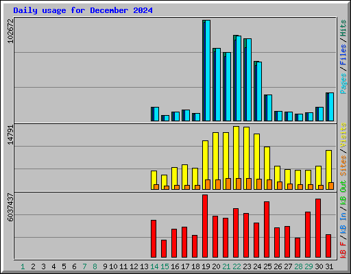 Daily usage for December 2024