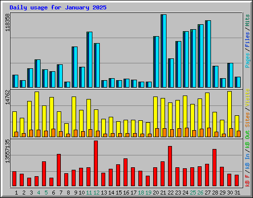 Daily usage for January 2025