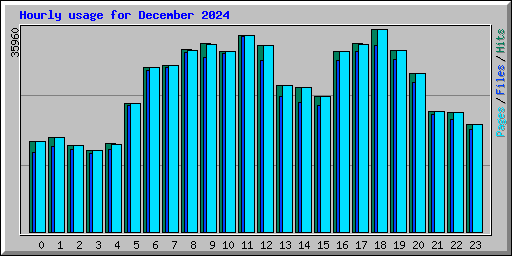Hourly usage for December 2024