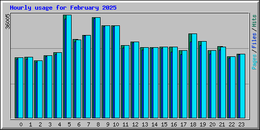 Hourly usage for February 2025