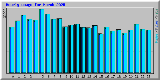 Hourly usage for March 2025